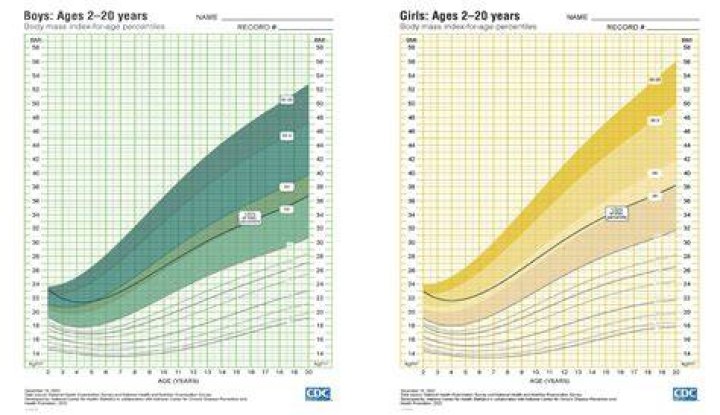 Identifying Chris Christie's Age And Weight: An In-Depth Exploration
