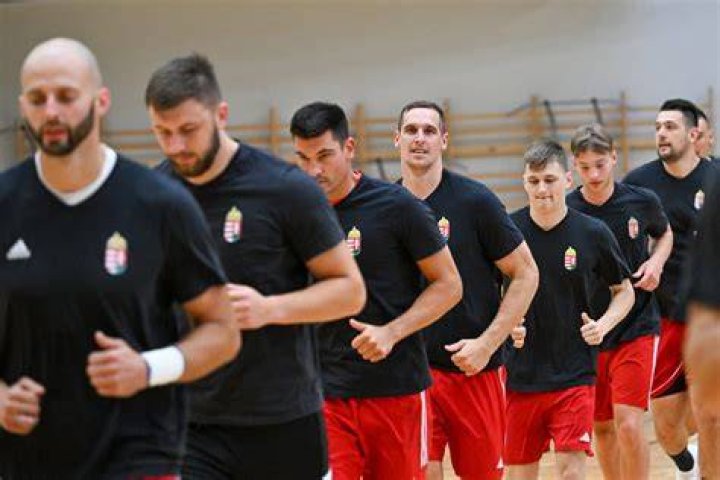 Magyarország Egyiptom élő M4 Sport 27.07.2024